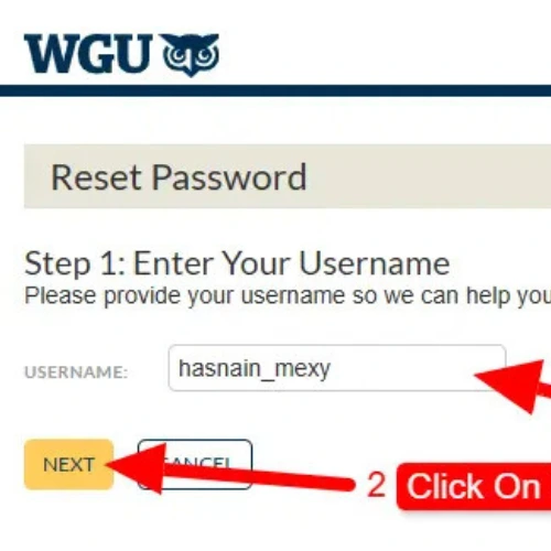 Use the Password Reset Tool - wgu student portal